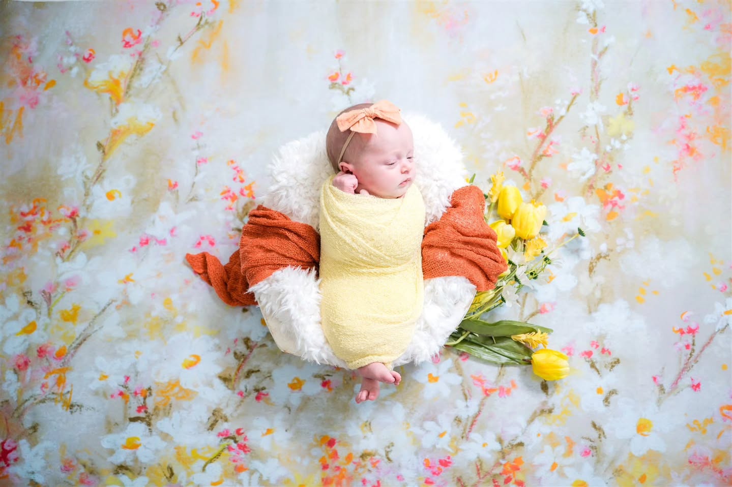 Sweet little March babe wrapped in buttery yellow and tucked into all the spring florals 💛🌷 I loved meeting her — I photographed her big sister a few years ago and it was so special to see the family again. Obsessed with these colorful tulips and soft wraps — spring newborn vibes at their finest.
Want a newborn or family session of your own? DM to book or check the link in my bio.
#newbornphotography #newbornsession #springbaby #tulips #riverheightsphotographer loganutah cachevalley familysession sisters newbornportraits