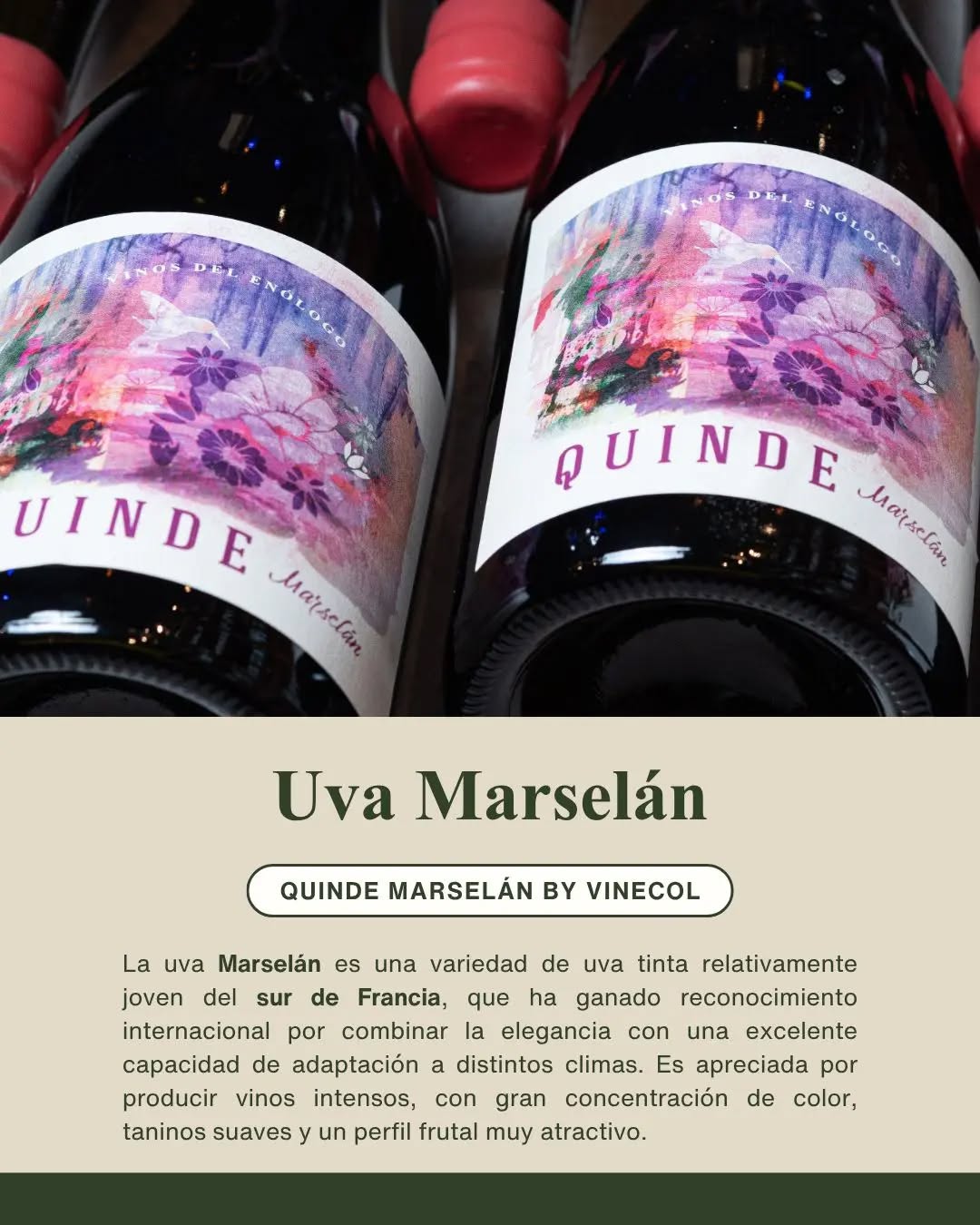 Vinos del Enólogo by Vinecol 🍇
🇮🇹 Freisa, una uva originaria del Piamonte de Italia
🇫🇷 Marselán, una variedad de uva del sur de Francia
¿Ya los probaste? 👇🏻
#freisa #marselan #vinosorganicos #mendoza